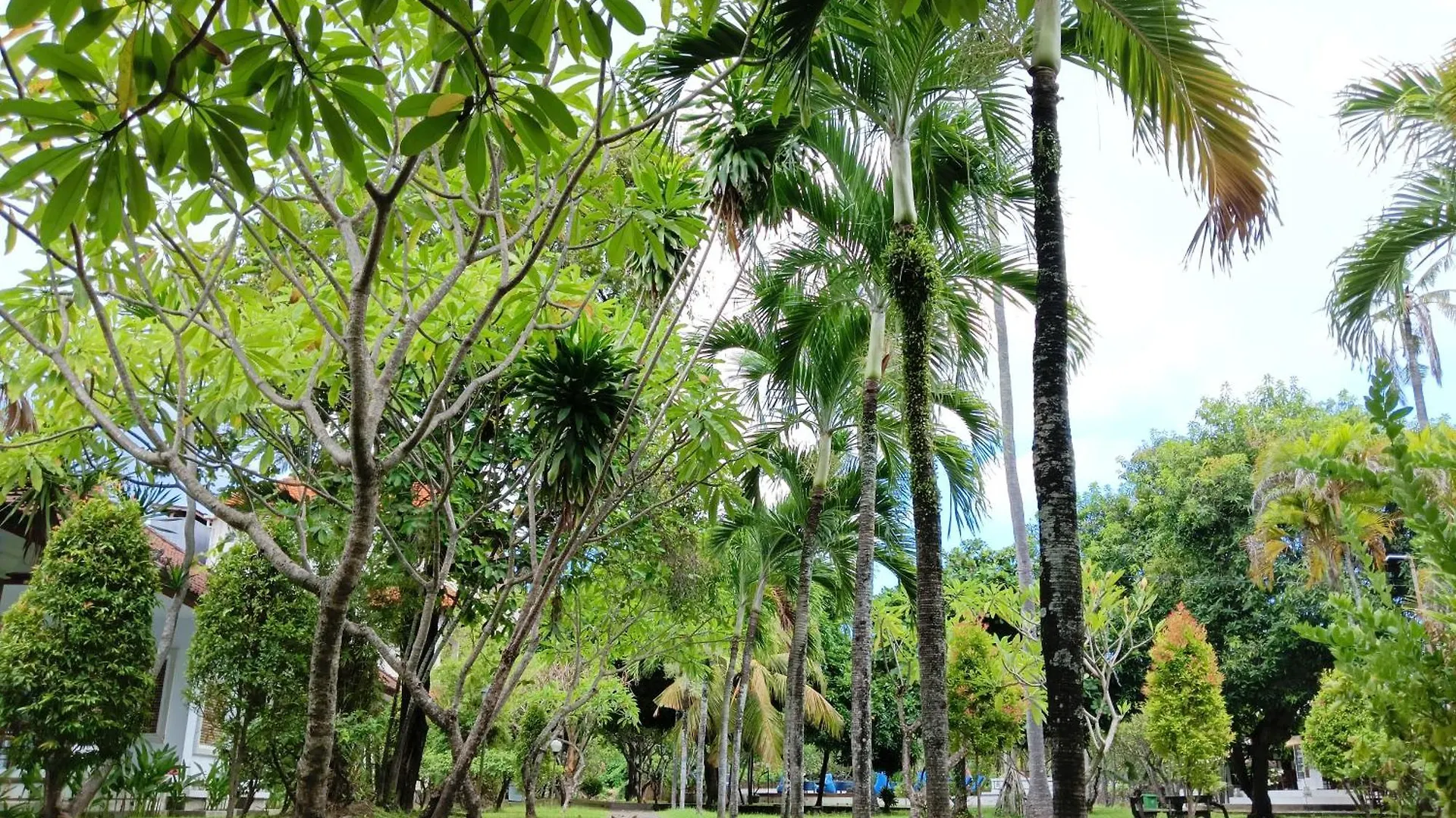 Legian New Mekar Jaya Hotel לינה וארוחת בוקר
